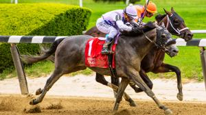 Arcangel Bishops Bay Peter Pan Stakes Belmont Park Belmont Stakes